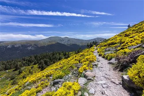 Пейзаж вокруг горы Пеньялара