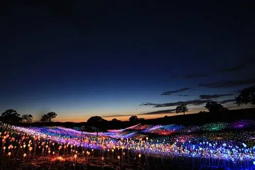 Поле света Брюса Манро в Sensorio