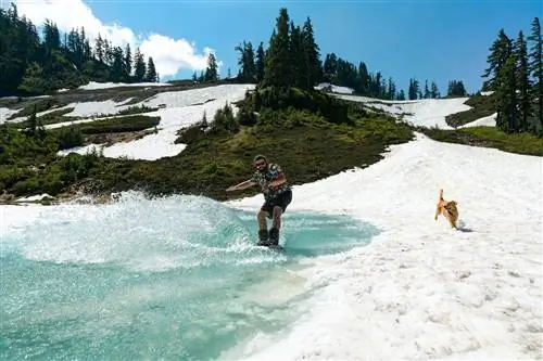 Лыжник на талом снегу. Хизер Медоуз, Национальный парк Норт-Каскейдс, штат Вашингтон, США