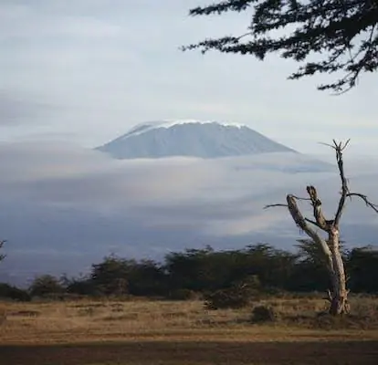 Спорный план строительства канатных дорог на Килиманджаро