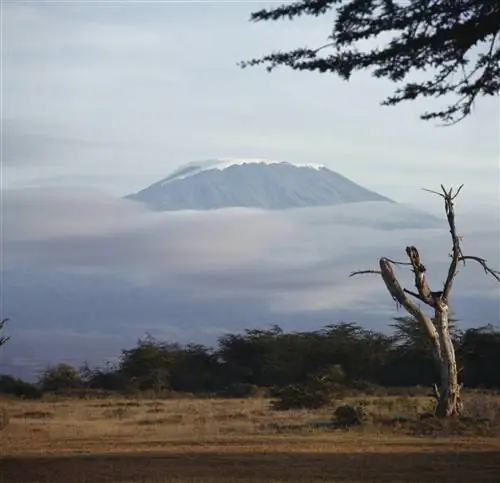 Танзания объявляет о проекте канатной дороги на Килиманджаро