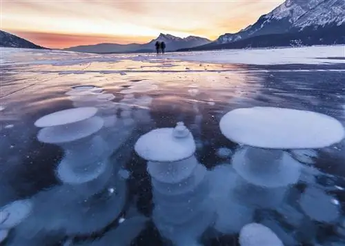 Пузыри в замерзшей воде озера Абрахам, Канада.