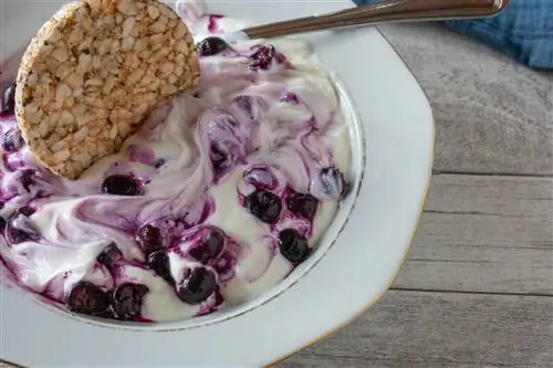 Скир с фруктами и рисовым крекером