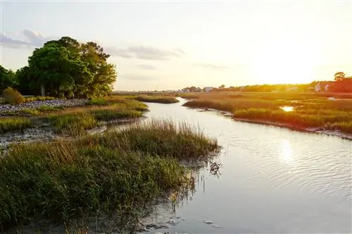 Вид на прибрежные дома вдоль болотистых водных путей в Лоу-Кантри недалеко от Чарльстона, Южная Каролина.