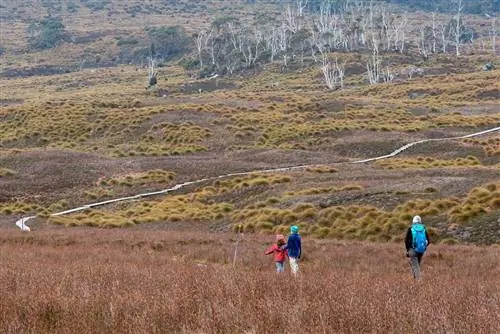 Семья с детским рюкзаком, прогулка по начальному участку Overland Track от Ронни-Крик в Кредл-Маунтин - Национальный парк Лейк-Сент-Клер, Тасмания, Австралия