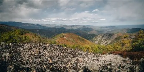 Новости туризма - Сихотэ-Алиньский заповедник
