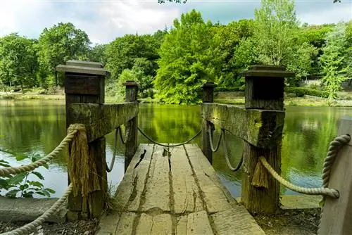 Вид на воду в парке Грин-Лейк, Сиэтл
