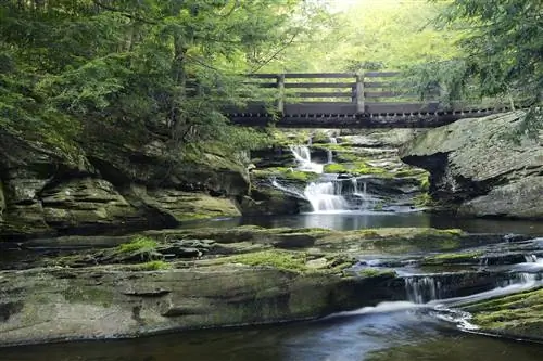 Мост через водопад Vernooy Kill Falls в горах Катскилл Мост через водопад Vernooy Kill Falls в горах Катскилл