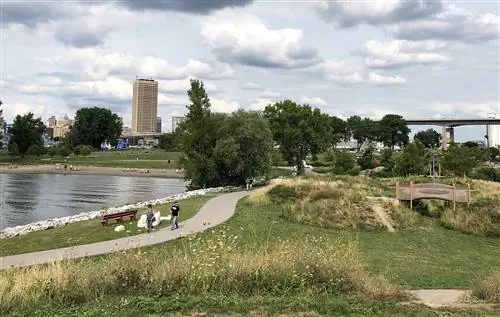 Зеленая трава, песчаный пляж и вход в озеро Эри во Внешней гавани Буффало, на фоне города и эстакады в летний день