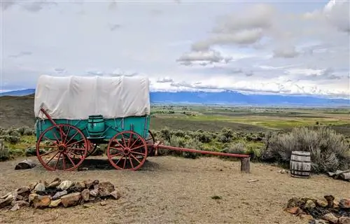 IMG_20190519_113417 (1)-j.webp