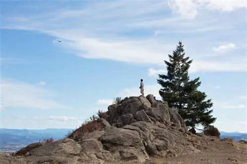 Молодой человек стоит на вершине скалы, на вершине горы Спенсер-Бьютт в Юджине, штат Орегон, США.