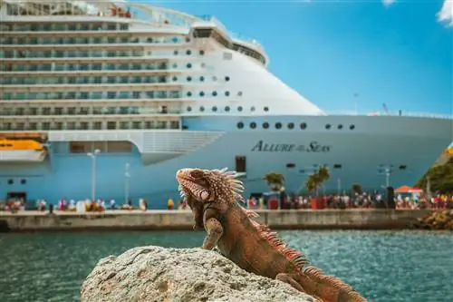 Круизный лайнер Royal Caribbean Allure of the Seas пришвартовался в порту с морской игуаной на переднем плане