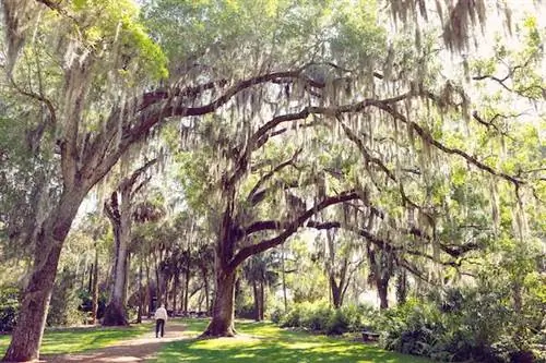 Лучшие бесплатные развлечения в Саванне: город-хозяйка приветствует вас