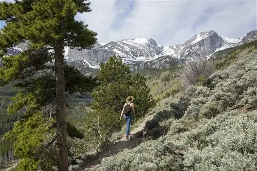Женщина ходит по горе в Йеллоустонском национальном парке