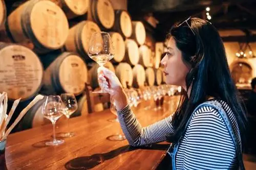 Зима - лучшее время для посещения долины Напа без толпы