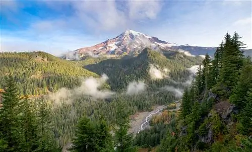 Вид на гору Ренье и реку Нисквалли с обзорной площадки Риксекер-Пойнт, когда осень начинает проявлять некоторые краски.