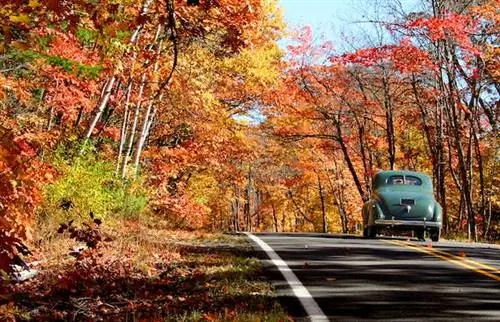 8 обязательных поездок в Мичигане