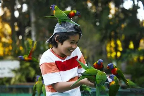 23 лучших развлечения в Австралии