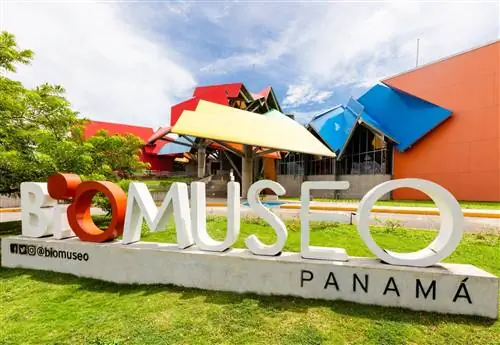 Внешний вид красочного биомузея в Панаме. На траве есть знак BioMuseo.