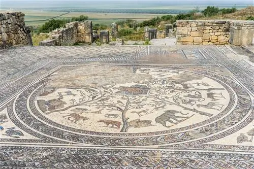 Мозаичный пол в руинах Волюбилиса, Марокко