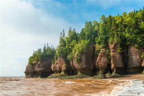 Hopewell Rocks, Нью-Брансуик, Канада Hopewell Rocks, Нью-Брансуик, Канада