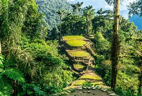 Тропические леса Колумбии расцветают в октябре.