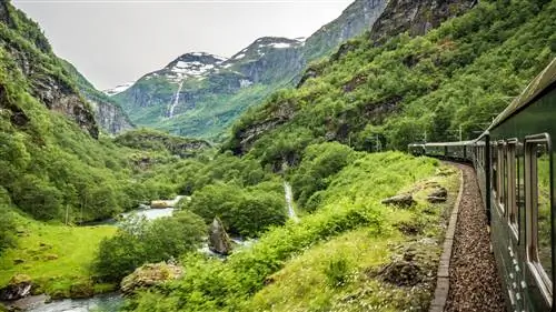 Экскурсия на поезде Flam-Myrdal