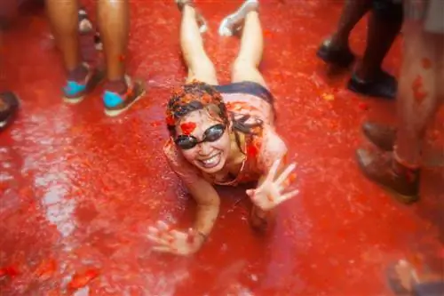 Девушка лежит в томатном соке на земле на фестивале La Tomatina, где люди дерутся помидорами на улице.