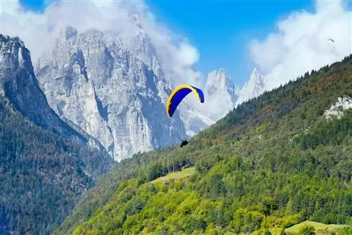 Параплан пролетает мимо вечнозеленых лесов и скалистых горных вершин.