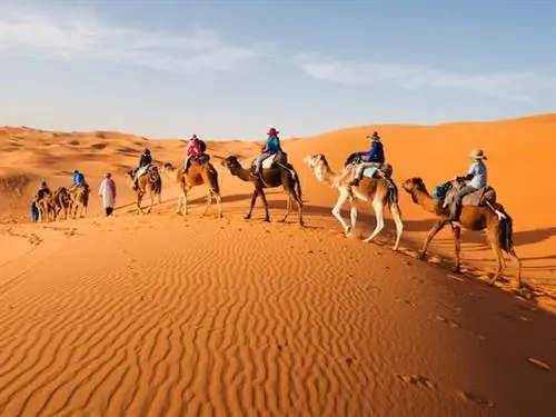 Философское руководство по борьбе со страхами перед большим путешествием