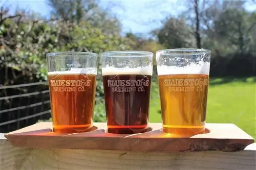 Не можете решить, какое пиво выпить в пивоварне Bluestone? Попробуйте все три