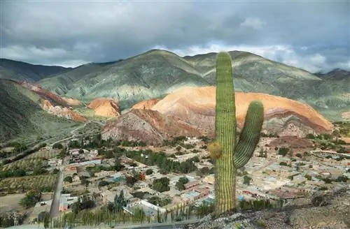 Новости путешествий - Аргентина