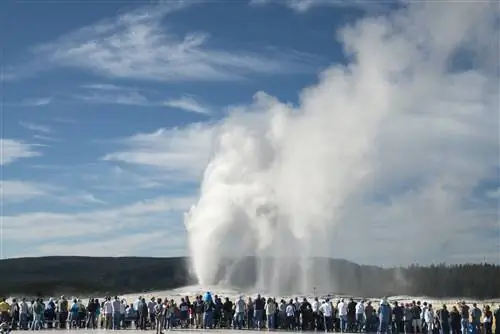 Толпа смотрит на Old Faithful в Йеллоустонском национальном парке.