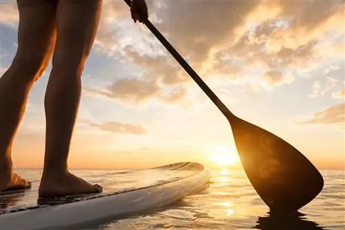 Катание на байдарках по тихому морю в Панаме