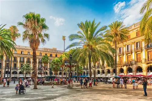 Plaça Reial в Барселоне в предвечернем солнце: люди ходят по большой мощеной площади, усеянной пальмами; рестораны, бары и ночные клубы расположены под аркадами неоклассических зданий 19 века.