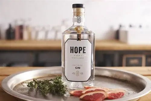 Джин в городе: где взять G&T в Кейптауне