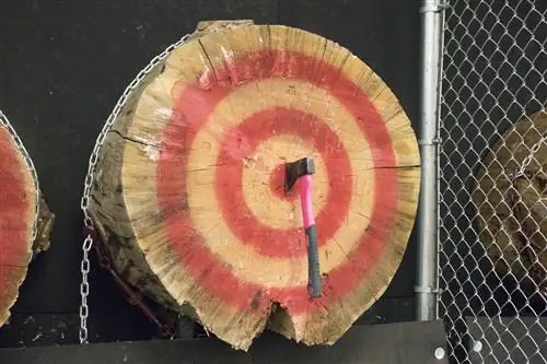 Недавно брошенный топор воткнут прямо в середину огромного бревна с нарисованной на нем красной мишенью.