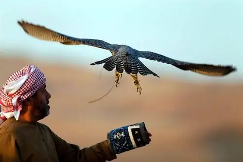 Заведи мотор в Пустом квартале