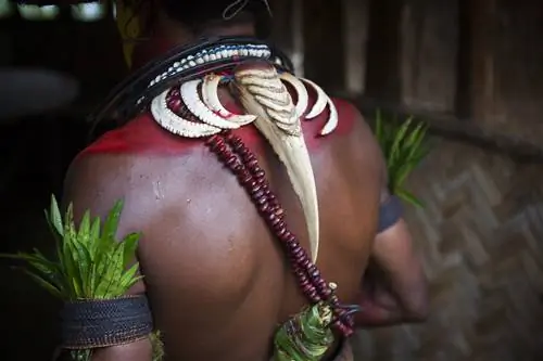 Особенности: самец Хули с клювом птицы-носорога на шее, Папуа-Новая Гвинея.