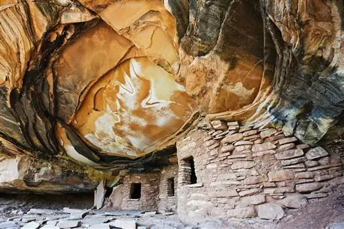 Кедровая Меса