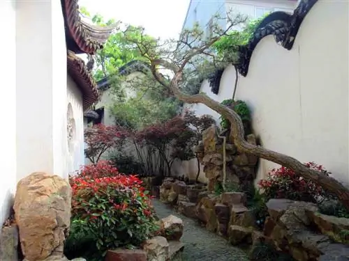 Небольшие кусты с красными цветами и корявое дерево украшают узкий проход через сад. Сады обычно представляли собой обнесенные стеной комплексы, которые служили частными резиденциями для интеллектуалов и отставных чиновников.