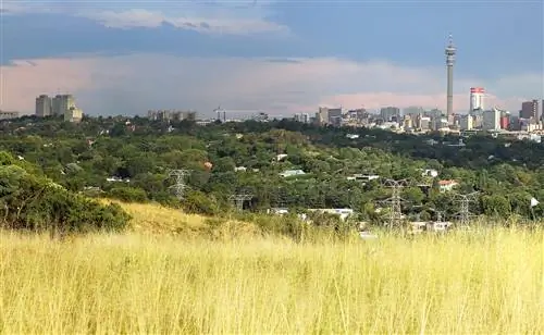 Горизонт далекого центра Йоханнесбурга выходит на поросшие лесом холмы, усеянные домами, и покрытые травой Мелвилл Коппи.