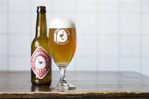 Бутылочное пиво, налитое в стакан