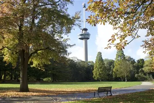 Большое зеленое пространство с высокой башней, возвышающейся над ним.