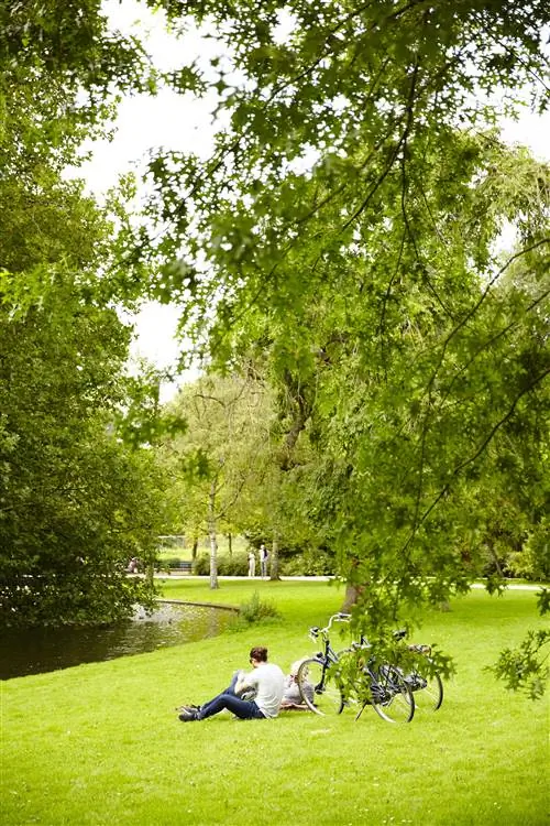 Пара лежала на траве рядом со своими велосипедами в парке, рядом с которым бежал небольшой ручей.