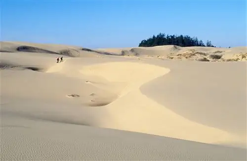 Путешественники в песчаных дюнах Ампкуа в национальной зоне отдыха Орегонские дюны на центральном побережье Орегона.