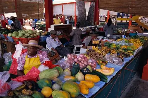 вегетарианское путешествие