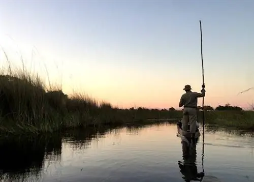 Мокоро и многое другое: уникальное сафари в дельте Окаванго