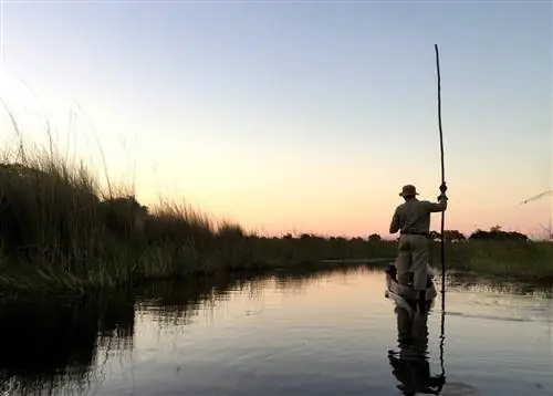 Полер стоит позади мокоро (долбленого каноэ) с поднятой шестом вертикально к небу. Его очертания четкие на фоне розовато-голубого неба на закате. Слева от него заросли тростника на краю канала. Все отражается в неподвижной воде дельты