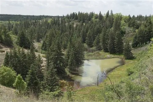 Особенности - Чаша для пунша Devils